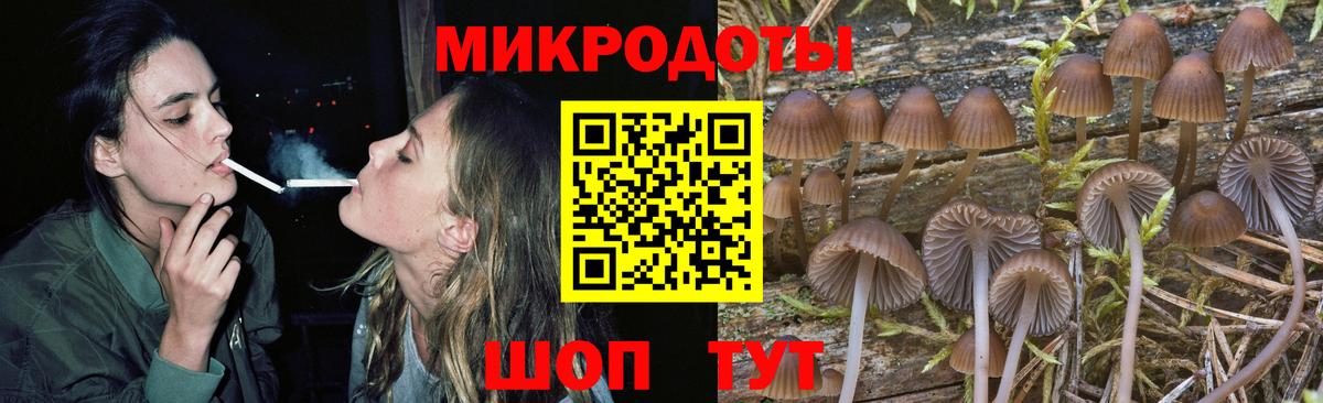 Псилоцибиновые грибы ЛСД Ревда